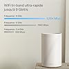 TP-Link WiFi 7 Mesh BE9300 Tri-Bande, 2 Ports 5Gbps, Port 2.5Gbps, MLO, Itinérance Transparente, Contrôle Parental, Compatible avec Toutes Les Box Fibre, WPA3, Deco BE65 Pro(2-Pack)