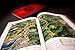 Assassin’s Creed Shadows - Das offizielle Buch: Collector’s Edition