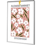 24x36 Poster Frames, Plexiglass, Silver Aluminum Snap Frame, Front-loading Frame for Wall (1PCS)