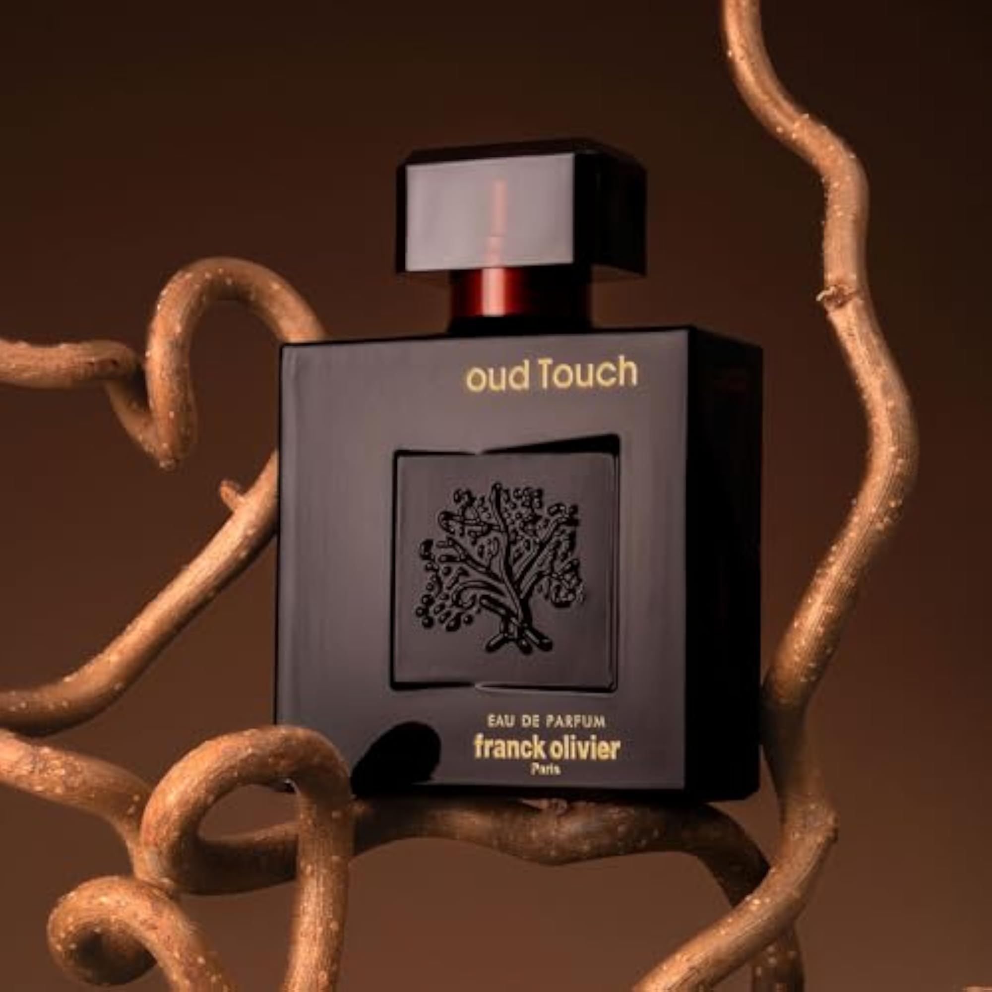 Oud Touch Eau de Parfum, 15ml for Men, Woody Aromatic