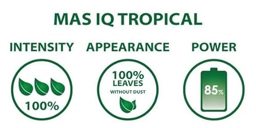 reich an Antioxidantien und Matein für Fettverbrennung. - Detailansicht von Brasilianischer Mate Green Fitness Tee 50g �...