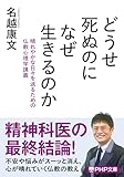 どうせ死ぬのになぜ生きるのか 晴れやかな日々を送るための仏教心理学講義 (PHP文庫)
