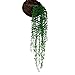Produktbild Künstliche Efeu LMYTech Hängepflanzen Aufhängen Vine Efeugirlande Hängende Rebe Hängend Girlande 100% Versprochen Garantie keine Unangenehmen Geruch Länge 0.8 m Korb Home Garten Wand DIY Decor