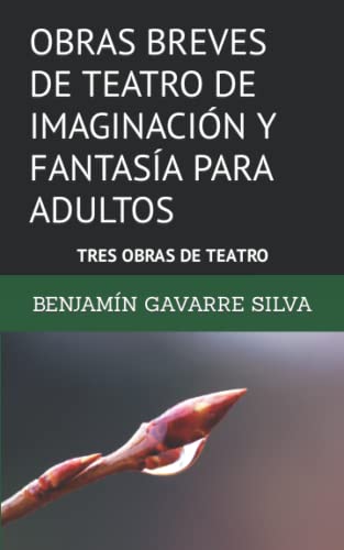 OBRAS BREVES DE TEATRO DE IMAGINACIÓN Y FANTASÍA PARA ADULTOS: TRES OBRAS DE TEATRO (OBRAS DE BENJAMÍN GAVARRE SILVA) (Spanish Edition)