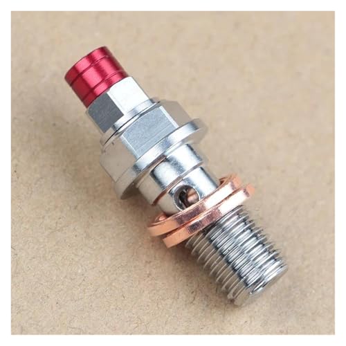 Mamelon de vis de purge moto M10 étrier de frein rouge anti fuite
