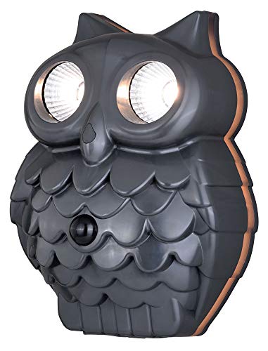Best Vaxcel Motion Sensor Lights