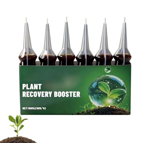 Veasbuu ϗtApt̔엿 | Op    엿 6,ϗtA Jԑi h{f -  Ő 뉀 t  |p