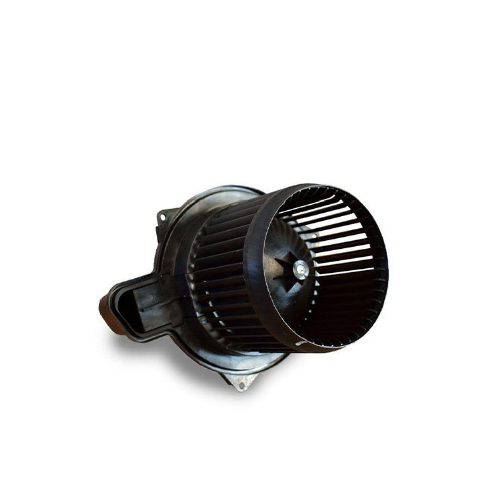 Amazon.com: YANGMO-AUTO 1pc/set OE# DS676084 51836362 blower motor 