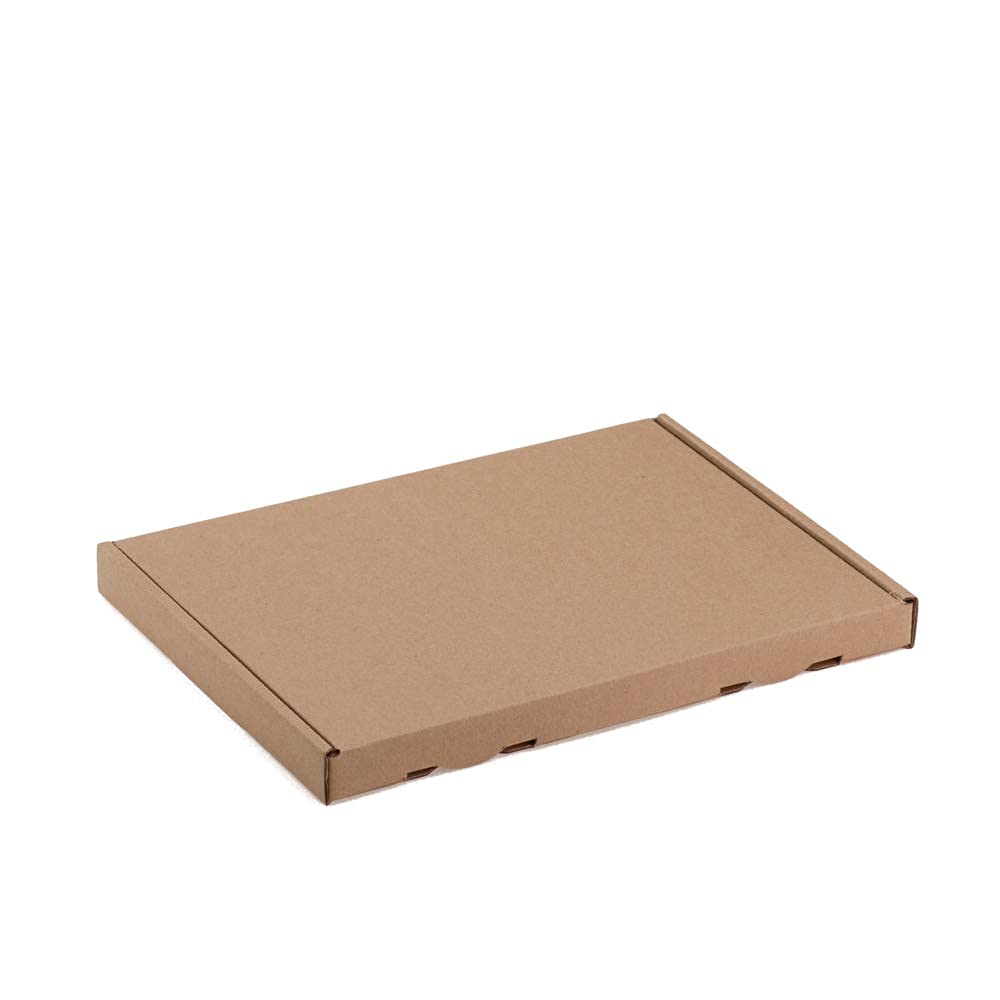 500 Großbriefkartons 230 x 160 x 20 mm DIN A5, Verpackung Versand Schachtel aus Wellpappe Karton Kiste Postversand Maxibrief