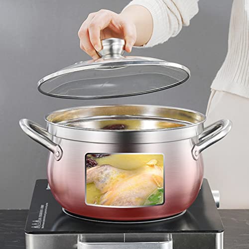 DOITOOL Cookware de Aço Inoxidável Stockpot Pote de Indução Com Tampa de Sopa de Potenciômetro Antia