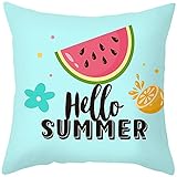 KnSam Funda De Almohada, Sandía Hola Verano Funda Almohada Cuadrada Polialgodón Fundas Almohadas Decorativa Adecuado para El Hogar, La Oficina, El Jardín, Al Aire Libre 50X50 cm Azul Rosado