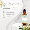 Abbey & Sullivan Fragrance Oil, Honeysuckle, 1 oz. #3