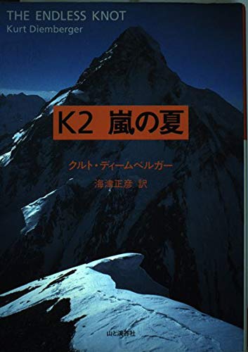 思いがいつかくる　小説・日本エンリッチ・グループの産声　 1996〜2000 思いがいつかくる 小説・日本エンリッチ・グループの産声 1996