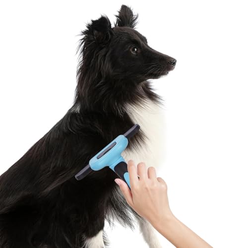 Image of Amazon Basics Deshedding Tool for Pet Dog Grooming | Removes Loose Hair, Mats, Tangles, and Dirt | Suitable for All Dog Breeds | Large Blade