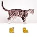 Pair of Cat Hock Socks for Sore Hocks Ankle Protective for Medium to Large-Sized Cats Recovery and Relief Wound Pain Cat Hock Brace