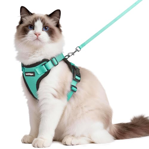 Image of rabbitgoo Cat Harness and Leash Set, Escape Proof Vest, Emerald | Soft Breathable Mesh, Easy Adjustable Fit, Snap Buckles, Sturdy Clip, Reflective Strips, for Medium to Large Cats Walks, M