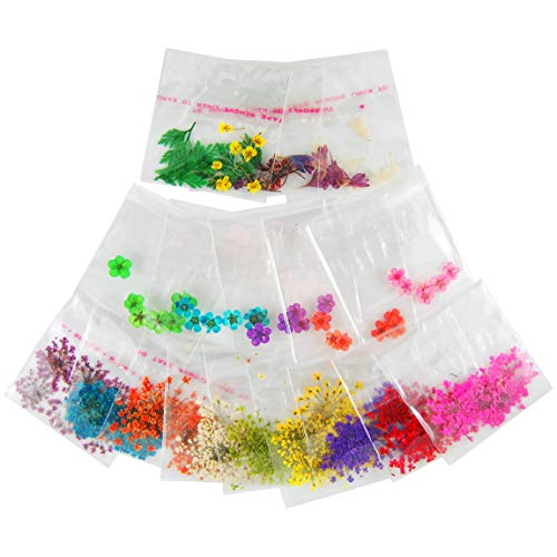 image for ALLTOP A_Grade Real Flower Dried Flower Assorted Styles Nail Art Dry F