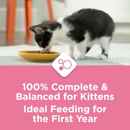 Kitten Chow Dry Kitten Food, Advanced Nutrition with Real Chicken - 1.8 kg Bag image 4