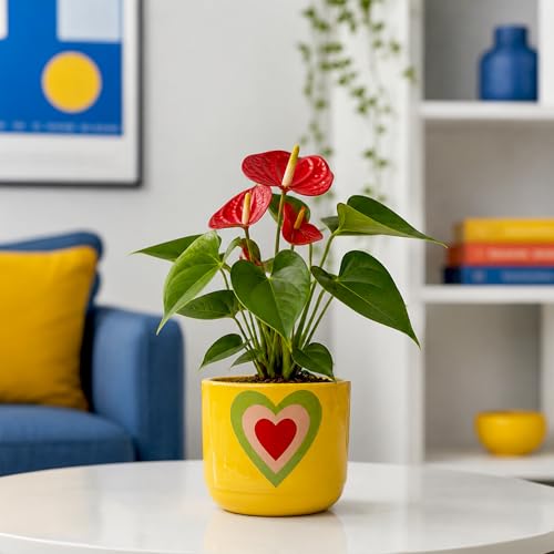 Image of Urban Plant Heart Bloom Handcrafted Terracotta Planter | Colourful Indoor Clay Pot for Living Room | Artisan Decorative Flower Pot for Plant Lovers | Drainage Hole | 4.5 Inch