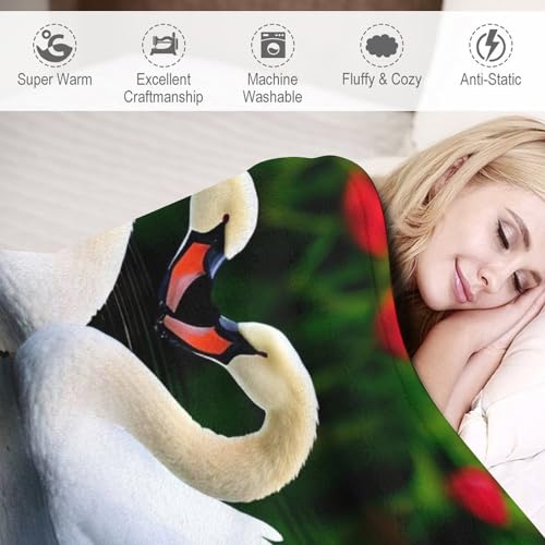 Tapis douillet couverture polaire flannel lavable machine - 4