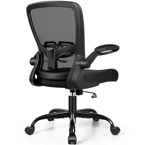 FelixKing Compact Ergonomic Chair