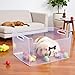 Morezi Dog Toy bin Basket Storage in Plastic Front Shallow Designed Dog Toy Organizer Great for Collecting pet chew Toys leashes Clothing in Living Room Area playroom Closet Shelf Gift Basket