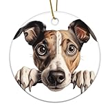 Erinnerungsgeschenke: Unser Keramik-Ornament misst ca. 7,6 cm im Durchmesser. Jeder Weihnachtsbaumschmuck wird komplett mit 1 Band zum einfachen Aufhängen geliefert. Ideal für Geburtstage, Hochzeiten, Jubiläen, Thanksgiving, Einweihungsfeiern, Halloween, Lehrer-Wertschätzungswoche, Krankenschwestern, Verlobung, Weihnachten oder jeden Anlass. Eine vielseitige Ergänzung zu Ihrer Urlaubsdekoration