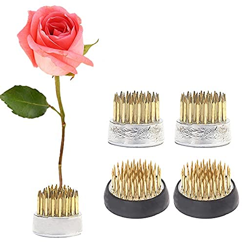 DriSubt 4PCS Fleur La Grenouille Support D Arrangeur De Fleurs Professionnel en Acier Inoxydable Grenouille Briques Enfichables pour Compositions Florales (4PCS) Cover