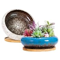 Amazon.co.jp: ARTKETTY 多肉植物鉢 - 大型多肉植物プランター 排水溝