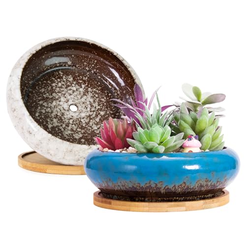 ARTKETTY Macetas, macetas Grandes para Plantas suculentas con Drenaje Pack de 2, macetas Poco Profundas para bonsáis con bandejas Macetas de cerámica para Plantas de Interior Cactus