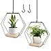 BDHYYM 2 Stück Blumenampel Hängend Innen,Metallring mit Holzsockel,Hängender Blumentopf Hängend,Hängetopf für Pflanzen,Hängeampel Blumen,Blumenampel Innen,Hängepflanzen Topf,Aufhängehaken Inklusive
