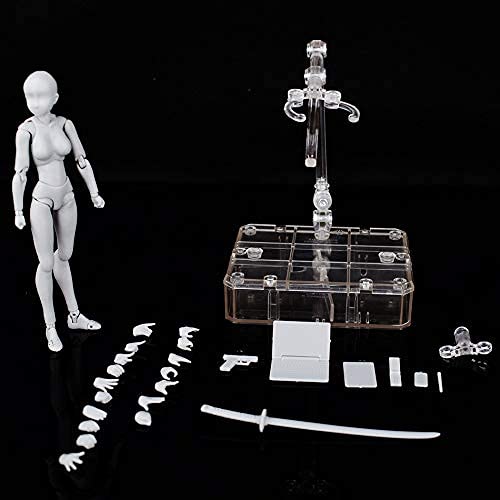 Body Kun Dx Set Male Female Gray Color Body-Chan Action Figure Model Set Pvc Figure Model Drawing For Shf S H Figuarts #TOP3