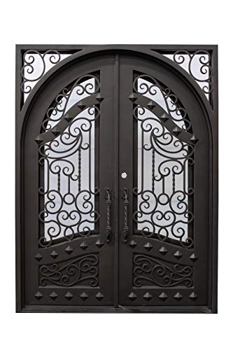 Canton Exterior Double Front Entry Door Wrought Iron with Operable Tempered Rain...