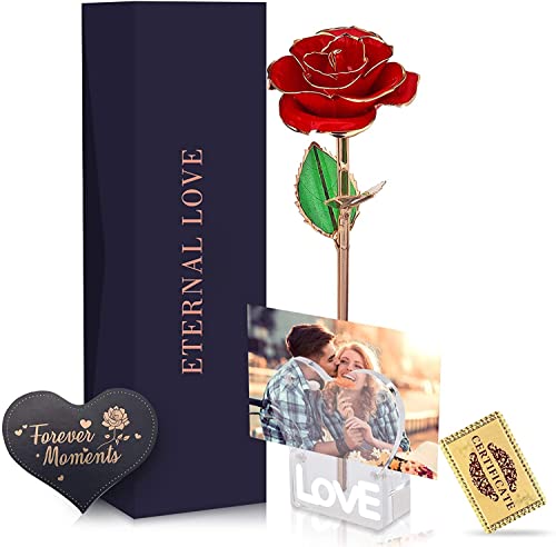 Rose, 24 Karat Gold Rose Vergoldet Rose für Frauen Geschenk für Frauen Art Rose Tischdekoration Fotorahmen Grußkarte Ewige Rose für Frau Mutter Freundin Valentinstag Geburtstag Jahrestag