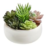 MyGift 6 Inch Round Modern Artificial Succulent Arrangement Potted in White Ceramic Plant Bowl, Assorted Faux Mini Succulents in a Decorative Planter Pot