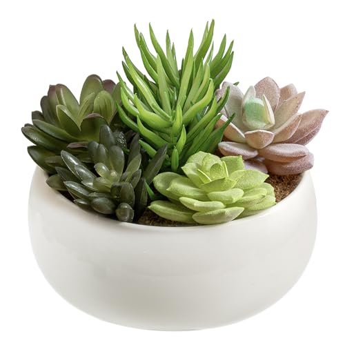 MyGift 6 Inch Round Modern Artificial Succulent Arrangement Potted in White Ceramic Plant Bowl, Assorted Faux Mini Succulents in a Decorative Planter Pot