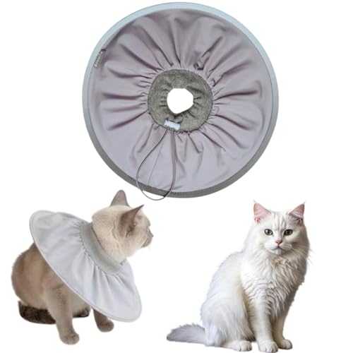 Lifetips^[LbVoL oLp GUxXJ[ h \tg y pPA ی Ȃߖh~ p EȒP 􂦂 PAJ[([~XgO[j(Lj