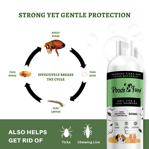 Image of POOCH & FURR (1000 ML) Natural Neem Anti Tick and Flea Dog Shampoo | with Neem, Lemongrass and Camphor Oil | Paraben Free, PH Balanced and Cruelty Free (500 ml)