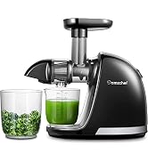 AMZCHEF Juicer Machines - Cold Press Slow Juicer - Masticating Juicer voor Fruit en Groente - Del...