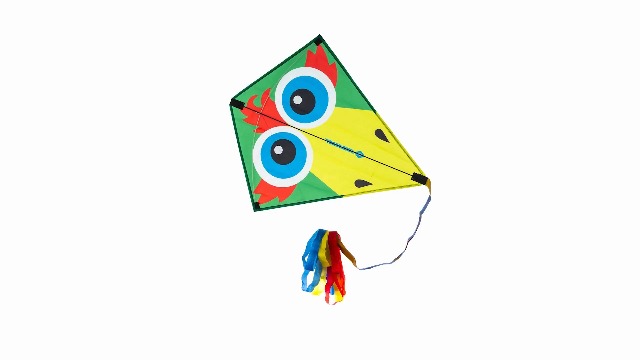 Cerf-volant Schildkröt Classic Kite 70 – Forme Classique, Tiges En Fibre De Verre, Queue 2,5 M, Ligne 40 M – 5+ Ans