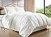 Celine Linen® Luxury Ultra Plush Down Alternative Double-Filled Comforter %100 HypoAllergenic, Full/Queen , White