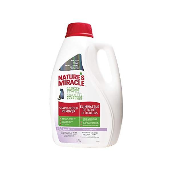 Nature’s Miracle Stain & Odor Remover Just for Dogs, Pet Stain Eliminator, 3.7 Litres Nature’s Miracle Stain & Odor Remover Just for Dogs, Pet Stain Eliminator, 3.7 Litres