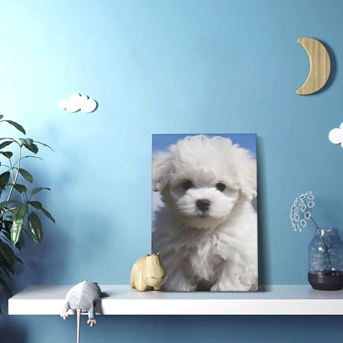 Tableau Bichon Frisé en impression haute définition - 4