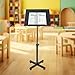 Lectern Podium Stand, Height Adjustable Laptop Table, Portable Presentation Standing Tilting Desktop with Edge Stopper for Classroom/Office & Church (Black)