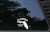 Florida America's Wang - 3 3/4' x 3 3/4' die Cut Vinyl Decal/Bumper Sticker for Windows, Cars, JDM, Trucks, Bumpers, Tool Boxes, Boats, laptops - virtually Any Hard, Smooth Surface. Made in The USA