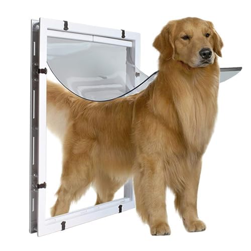 Porte à chatière extra large pour chien accès direct jardin et salon