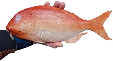 ERRO Red Snapper Toothbream, 13415, Very Light Dummy Hollow, Plastic Dummy, Theatre Prop, Fish Replica, Display Design, Party Decoration Theme Party, Catering Supplies