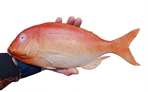 ERRO Red Snapper Toothbream, 13415, Very Light Dummy Hollow, Plastic Dummy, Theatre Prop, Fish Replica, Display Design, Party Decoration Theme Party, Catering Supplies