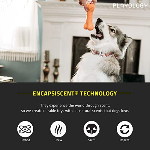 Playology-Dual-Layer-Bone-Toy-for-Large-Dogs-35lbs-up-Engaging-All-Natural-Cheddar-Cheese-Scented-Durable-Dog-Chew-Toy-for-Heavy-Chewers-Easy-to-Clean-Interactive-Non-Toxic - Cucciolini Doodles   Playology-Dual-Layer-Bone-Toy-for-Large-Dogs-35lbs-up-Engaging-All-Natural-Cheddar-Cheese-Scented-Durable-Dog-Chew-Toy-for-Heavy-Chewers-Easy-to-Clean-Interactive-Non-Toxic