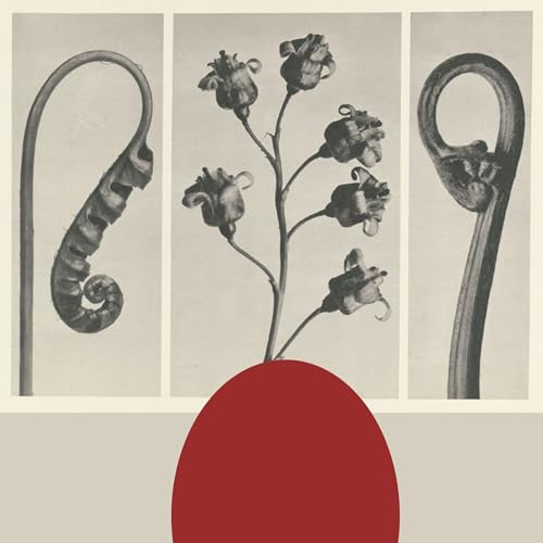 S1E1: World-building through the wound